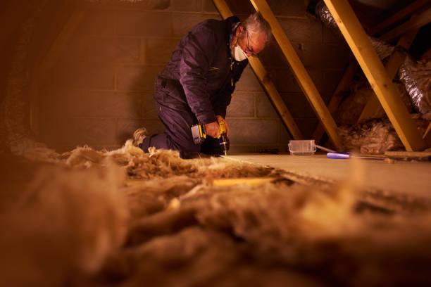 Best Blown-in Insulation  in Richmond, TX